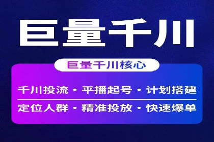 百度推广代运营公司成功案例：精准投放广告的秘诀